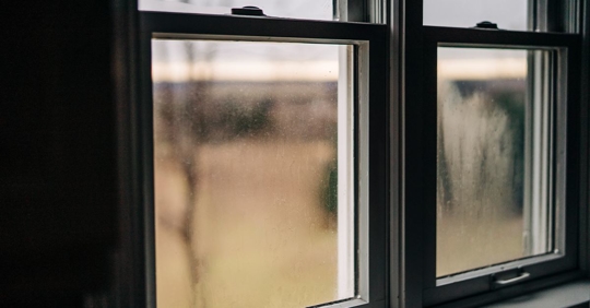 foggy window